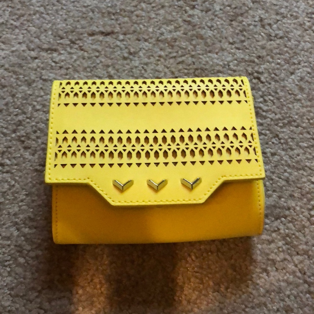 Stella & Dot Clutch/Crossbody